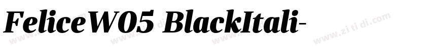 FeliceW05 BlackItali字体转换